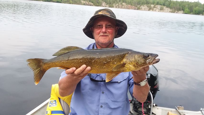 A simple guide to summer #walleye fishing the French River.
Learn more here!  

bearsdenlodge.com/how-to-catch-s…

#FishingFrenchRiver #HowTo