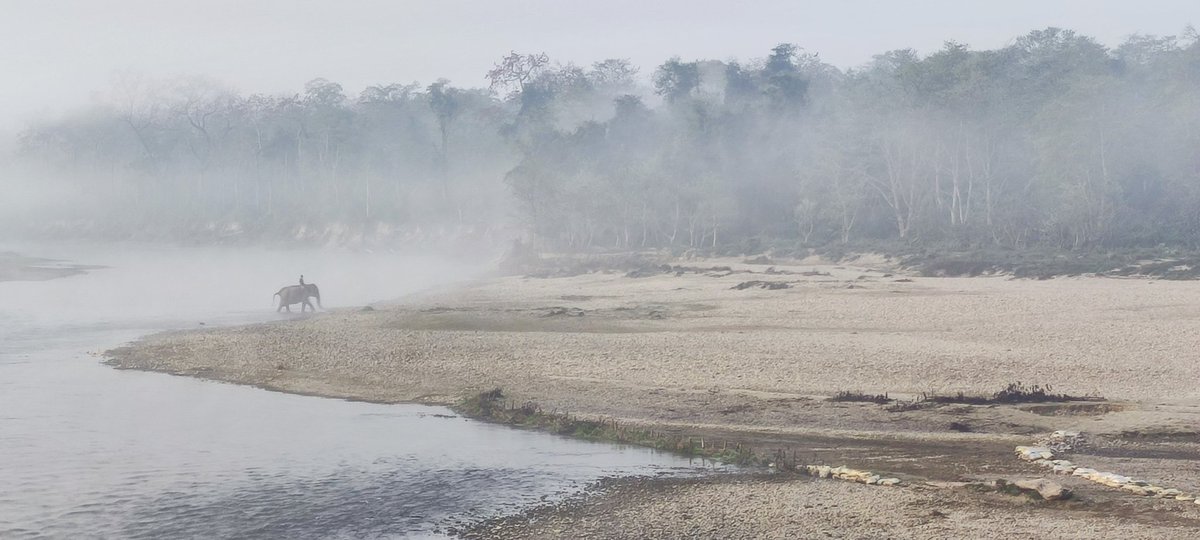BiKuKo's tweet image. Good morning! #Sauraha #Chitwan