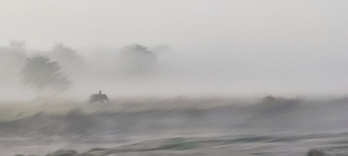 BiKuKo's tweet image. Good morning! #Sauraha #Chitwan