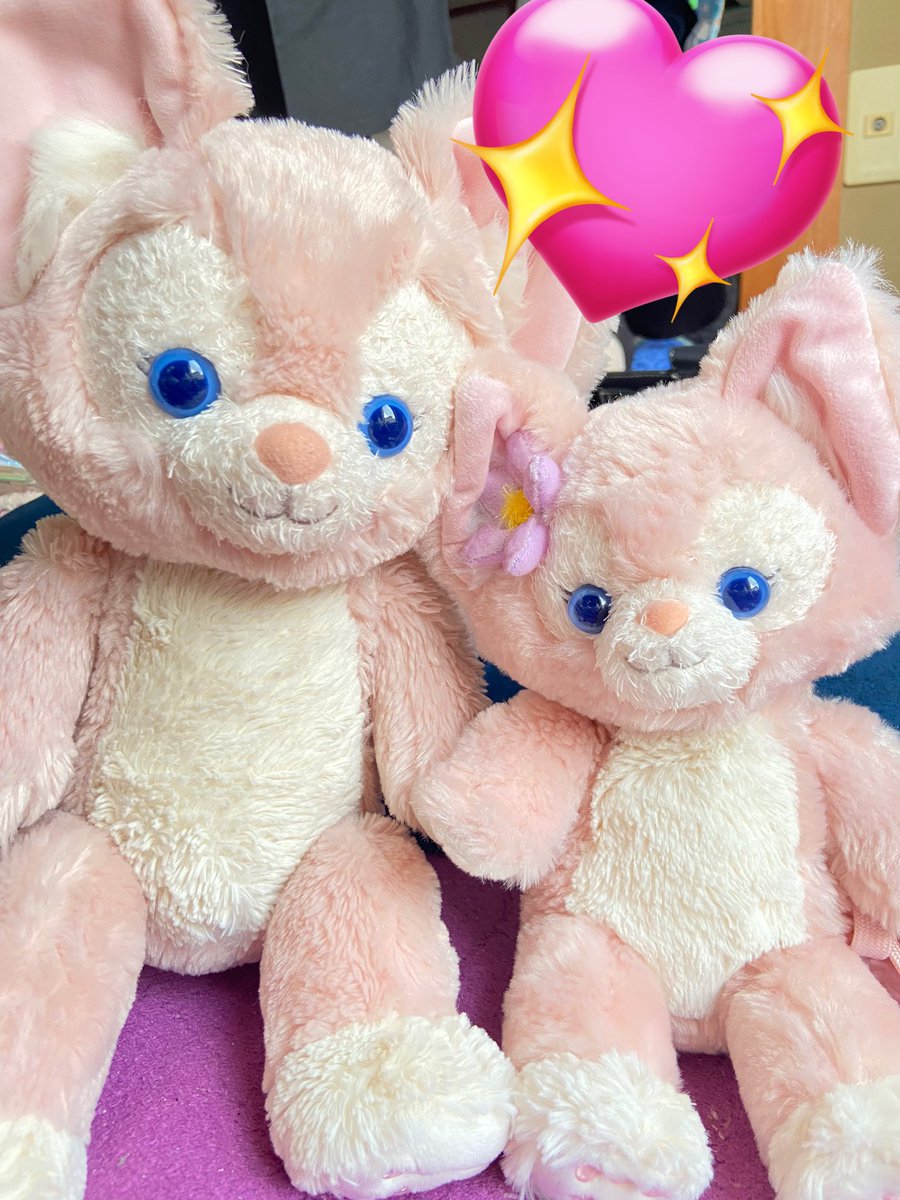 Duffylove0905's tweet photo. 我が家のリーナベルシスターズが可愛い件について🤦‍♀️💕
#リーナベル https://t.co/sRcIOhPRGd