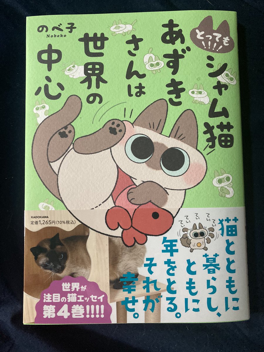 とっても！！！！シャム猫あすぎさんは世界の中心　献本いただきました！
今回もあずきさんの可愛さが炸裂してます！🫢猫好きは是非是非！！