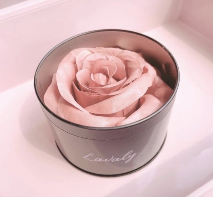 checkoutayok's tweet photo. Blush On Mawar Viral

New Package Lavaly Pink Blush Flower
https://t.co/N5EvA8iksy

#blushon #mawar https://t.co/Ry7hibLy9P