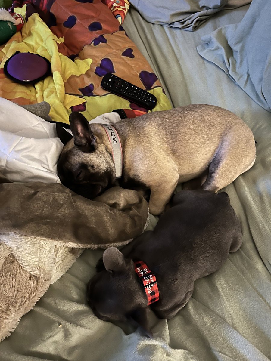 Perry Lee Greer, Jr tweet media