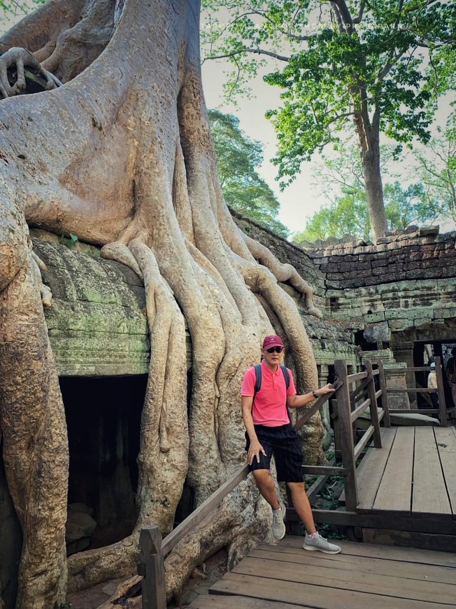 YSinlapikula's tweet photo. ปราสาทตาพรหม เมืองเสียมราฐ https://t.co/6xFGwuwjXj