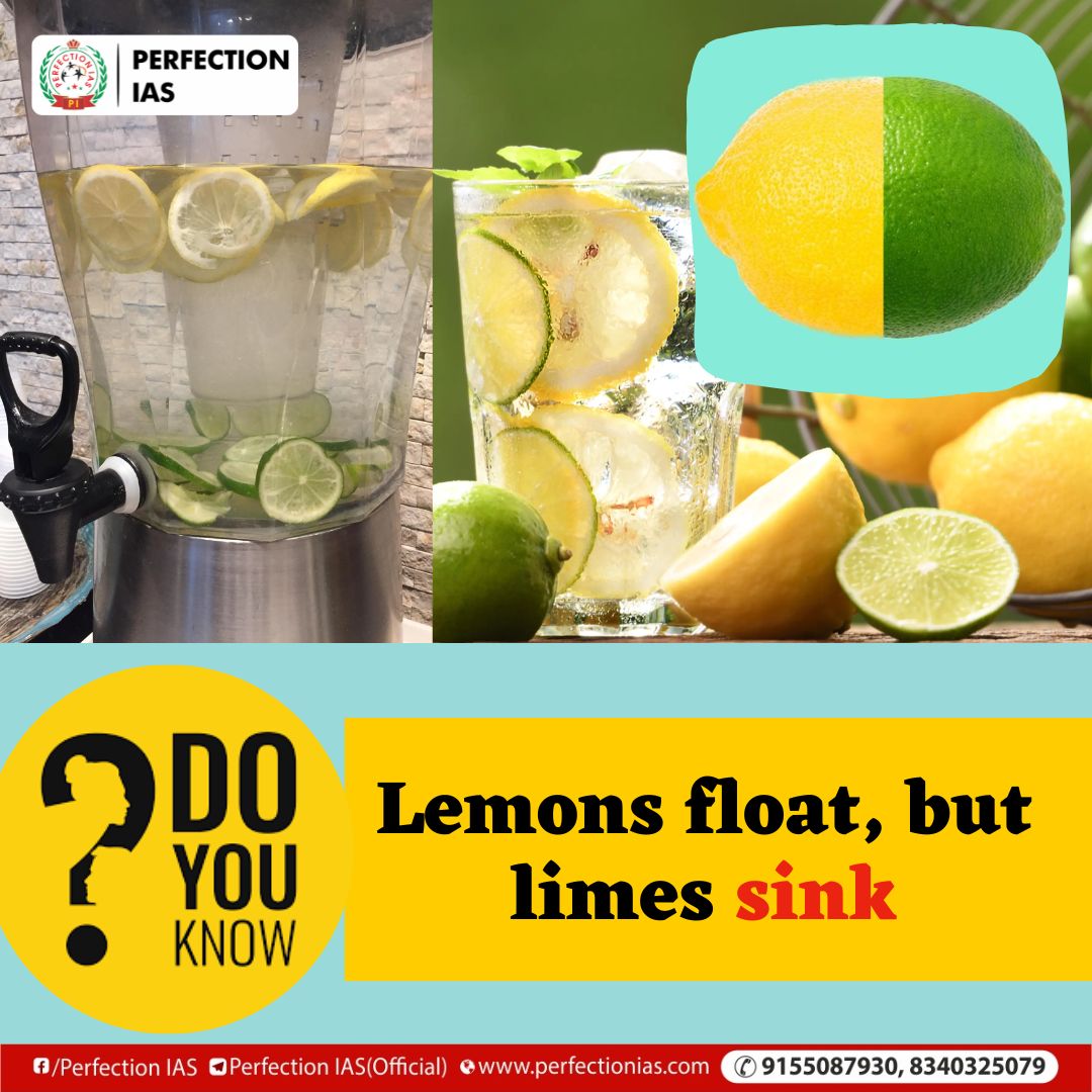 Because limes are denser than lemons, they drop to the bottom of a glass, while lemons float at the top.
. 
. 
. 
#lime #lemon #density #floating #facts #funfacts #unbelievable #viral #doyouknow #instafacts #trending #physics