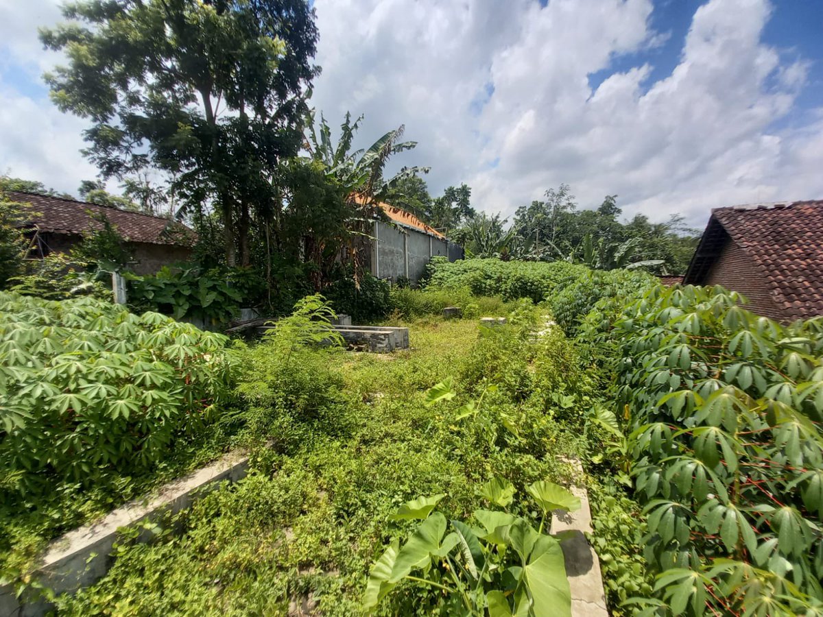 _aliftian's tweet photo. Dijual Tanah milik PRIBADI no MAKELAR. Ukuran 495m2. Akta. Letak strategis dekat jalan provinsi. 275jt nego

https://t.co/FkztVhd0MX

Hubungi
081336638013
081252543678 https://t.co/xyDsPUUoWA