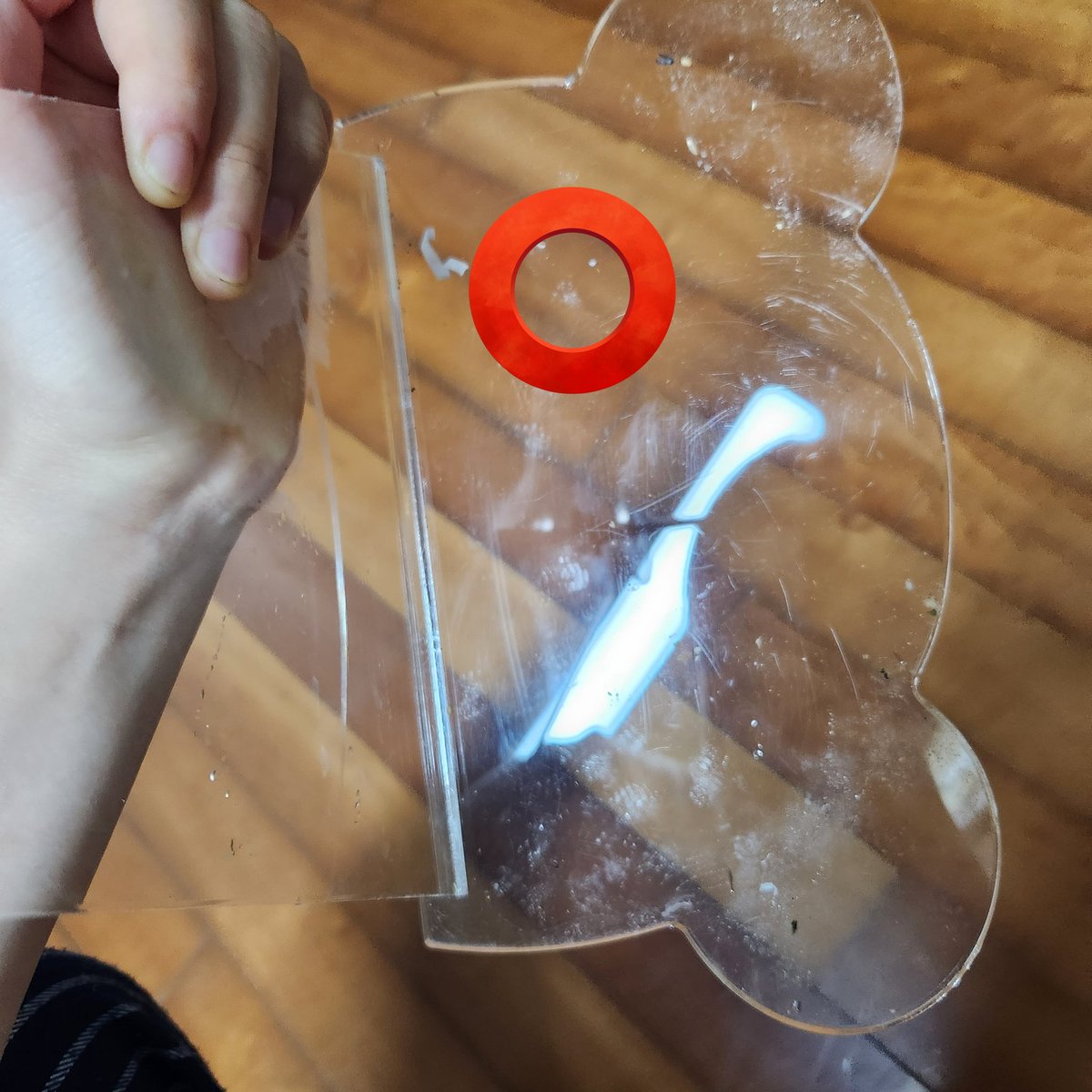 여러분은 햄스터 발자국을 보신 적 있습니까?