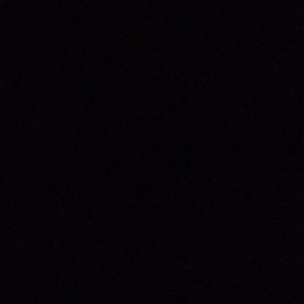 bagetssking's tweet photo. #NewProfilePic https://t.co/FjfPdehOs1