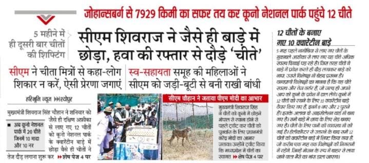 minforestmp's tweet image. ऐतिहासिक दिन
---
मुख्यमंत्री श्री @ChouhanShivraj ने दक्षिण अफ्रीका से लाए गए 12 (7 नर, 5 मादा) चीतों को श्योपुर के कूनो नेशनल पार्क में छोड़ा 

#MPWelcomesCheetah 
#CheetahStateMP
#JansamparkMP