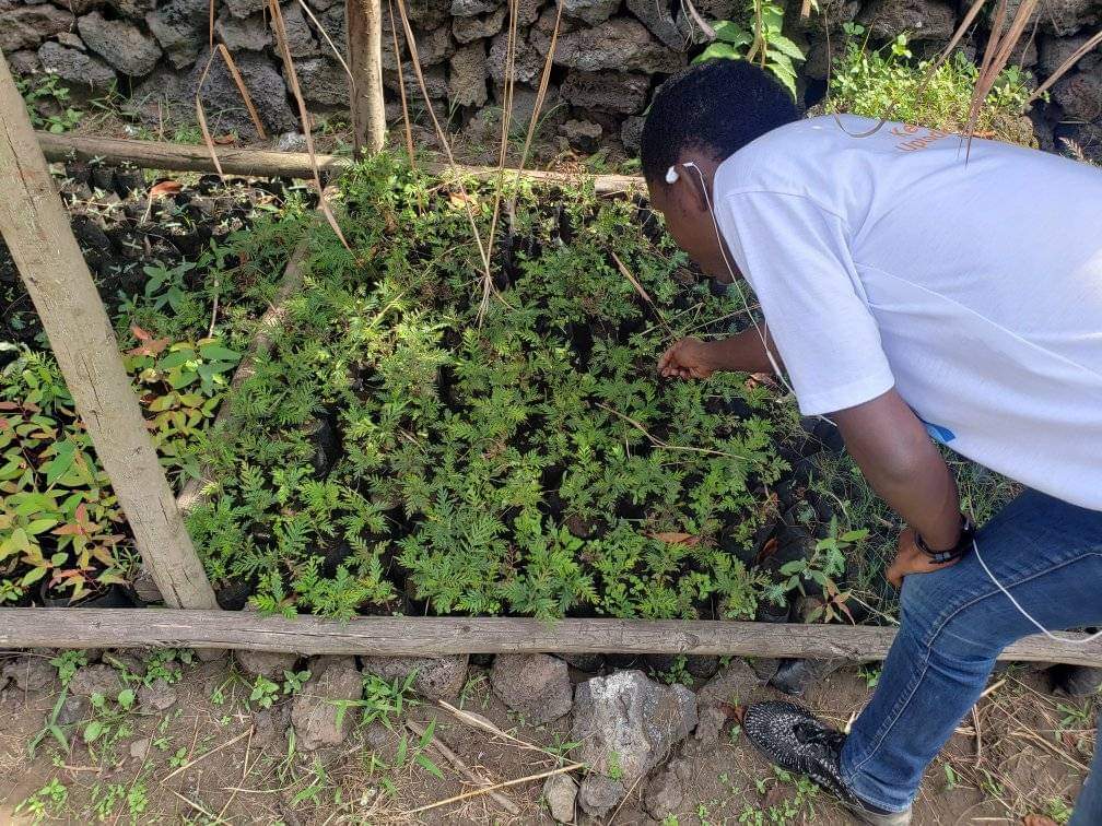 StakeGoma's tweet photo. Faced with climatic hazards, a small action is worth 1000 times 10 good speeches. #Goma takes action. #spo4good #africanspos #stakewithafrica #gomapool
#sdgs #climateaction #wildlife #conservation #wwf
@Cardano4Climate @CNCardano @WWFRDC #mtidano @EucalyptusPool @mietran0407 https://t.co/BBcgExdguW