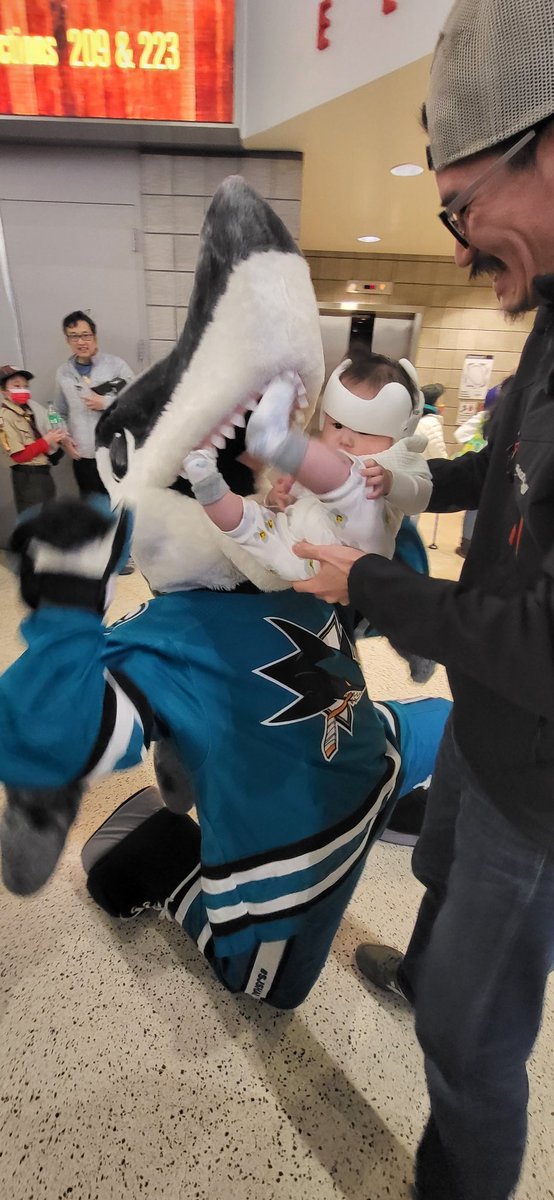 And another little fan of #SharksTerritory... tonight's fan is 5 months old!