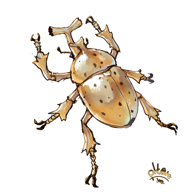 GBB (golden banana beetle)黄金芭蕉甲虫バナナを主食にする甲虫の一種。一見硬そうだがそうでもない。脱皮の際は角からするりと剥けるらしい。繁殖期になると斑紋が現れ甘いフェロモンを発しメスを呼ぶ。食べても美味しいらしいが試すには勇気がいる。 
