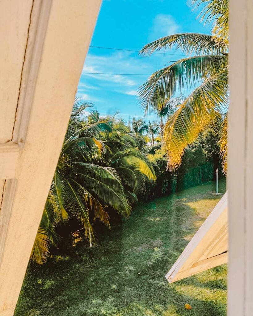 Valentines Resort tweet media