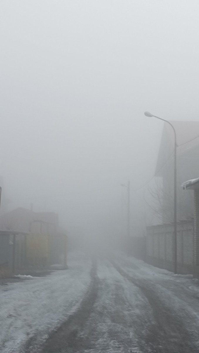 Видите кота? А он там есть