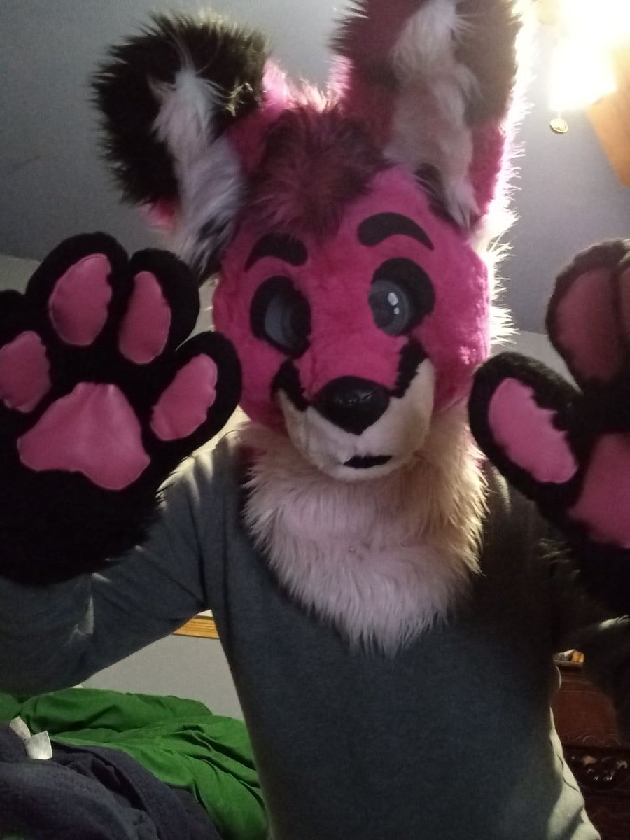 Andrew Fenbit tweet media