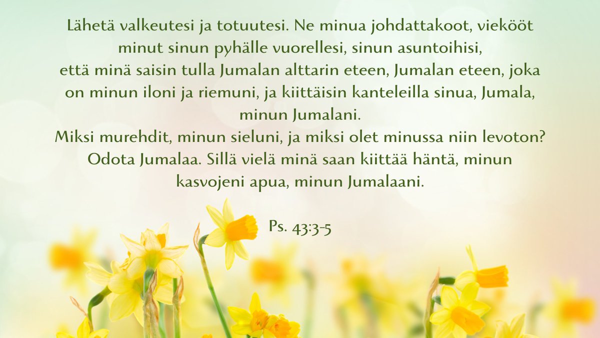 CarryYou88's tweet photo. Huomenta 💛 Laskiaissunnuntai. Laskeudutaan pääsiäiseen. Siunattua sunnuntaita ja kaikkea hyvää päivääsi 💛
Otin Raamatusta Psalmeista tämän seuraavan kohdan. Siinä sanotaan "Sillä vielä minä saan kiittää häntä, minun KASVOJENI APUA, minun Jumalaani."
#Raamattu #Bible #psalmit https://t.co/K1Ddwdcy5B