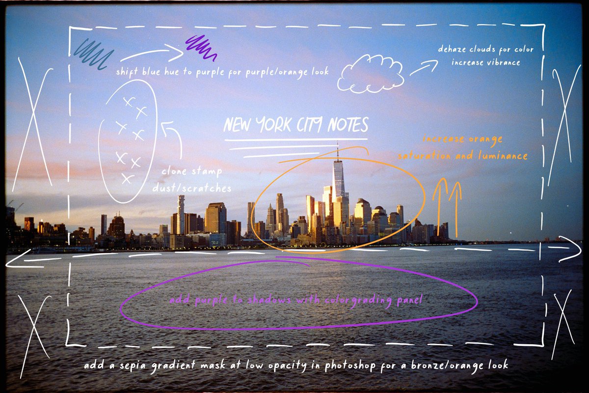 Kyler Steele tweet media