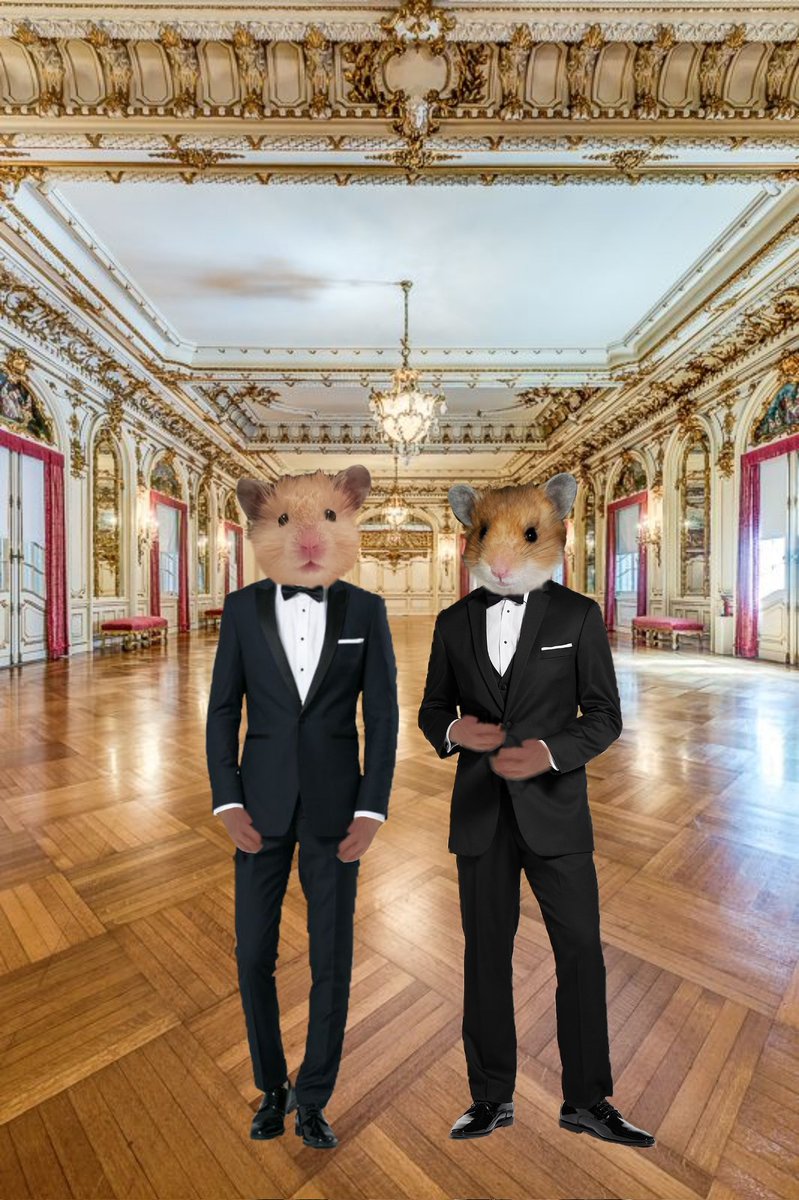 kenobe_w's tweet photo. #MurphyPuddinWedding Concatulations @georgiarealist & @MurphyTCat ๐น๐น๐พ๐พ๐ฅ๐บ๐บ https://t.co/C5xdz9xyCz
