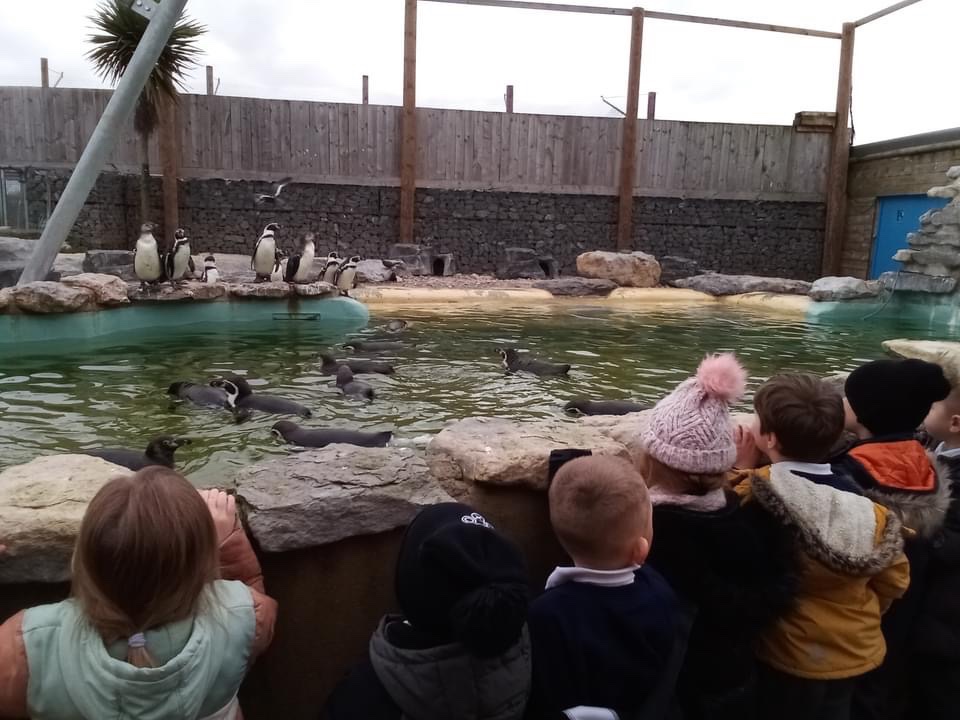 TheLancastersch's tweet photo. Year 1 and 2 children had a great time at Woodside Wildlife Park. They got to see many different animals and learn lots of facts about them. https://t.co/LMuU3tMyJV