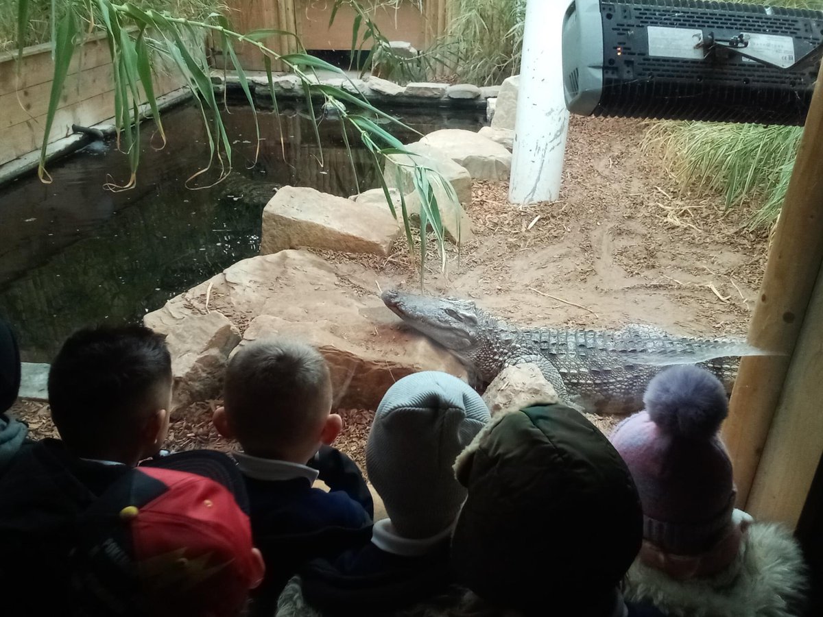 TheLancastersch's tweet photo. Year 1 and 2 children had a great time at Woodside Wildlife Park. They got to see many different animals and learn lots of facts about them. https://t.co/LMuU3tMyJV