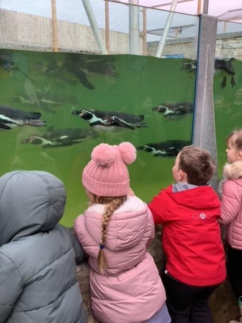 TheLancastersch's tweet photo. Year 1 and 2 children had a great time at Woodside Wildlife Park. They got to see many different animals and learn lots of facts about them. https://t.co/LMuU3tMyJV