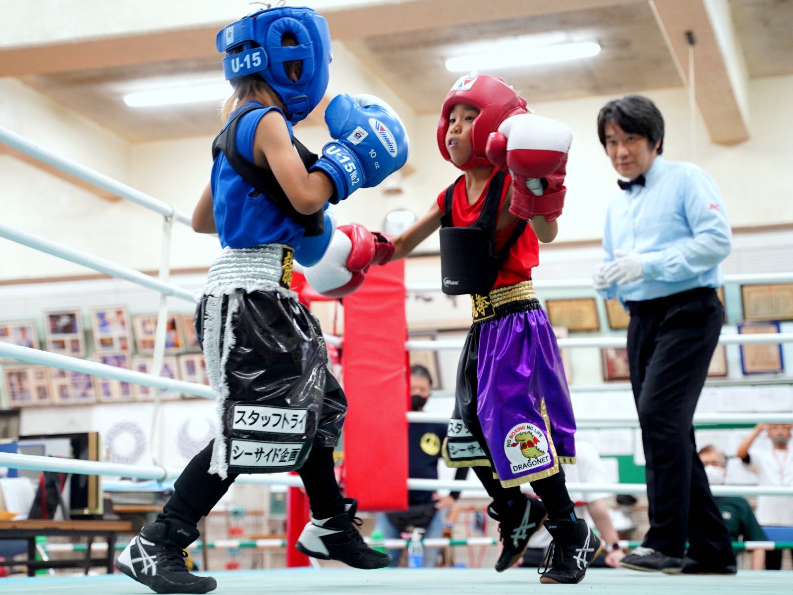 激レア 非売品 当選 鴨川ボクシングジム ジャケット L はじめの一歩