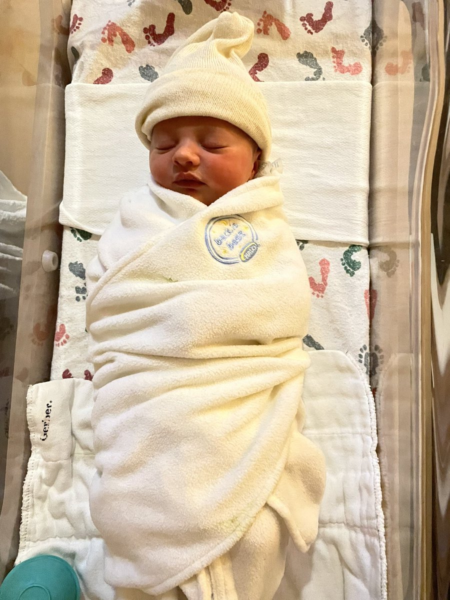 AmeliaTalon tweet media