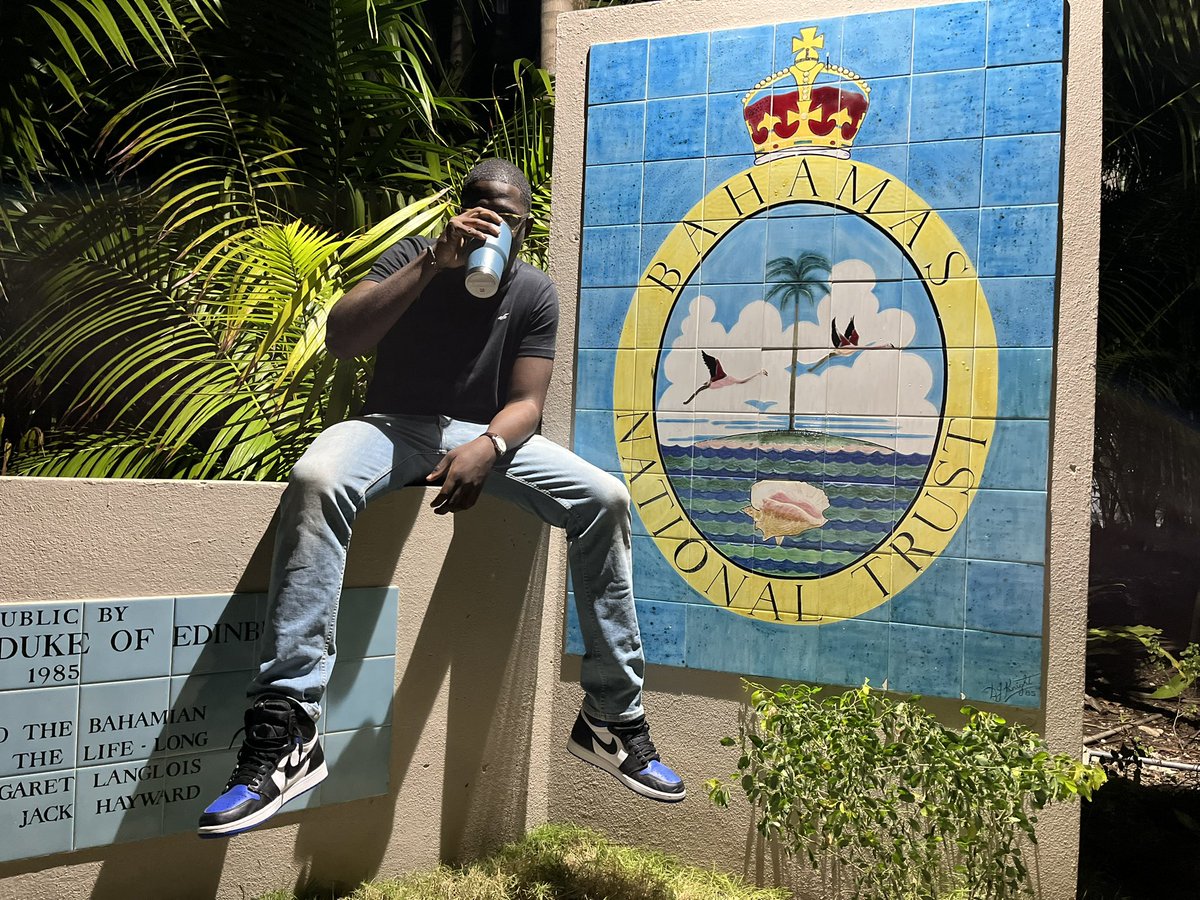 Dine Solid tweet media