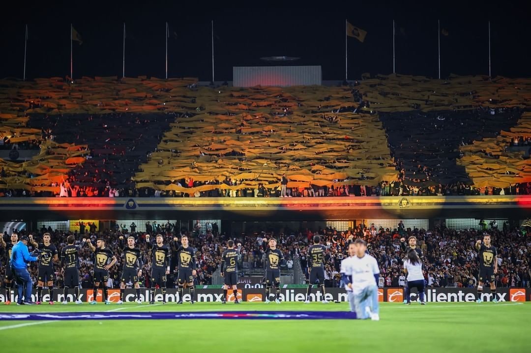 No había visto esto, que bonito. Si tienen fotos pásenlas 😅👇