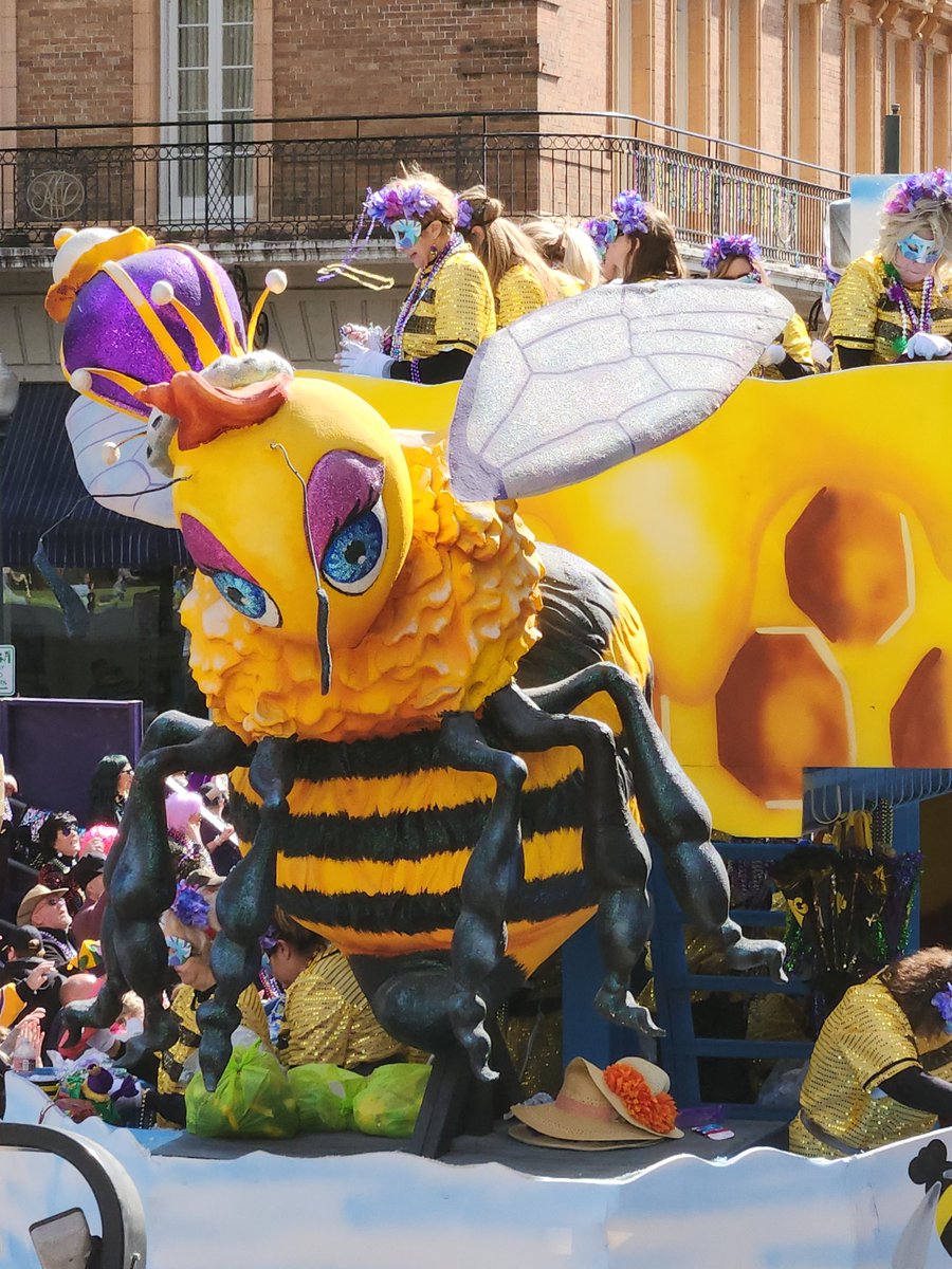 Claudia Riegel (@claudia_riegel) on Twitter photo 