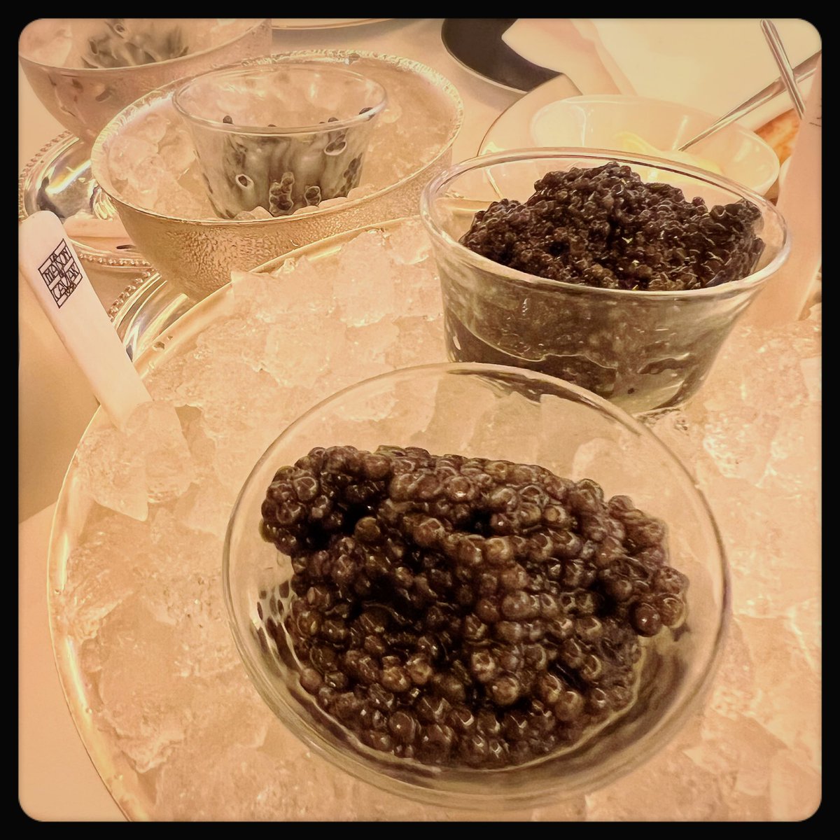 ultimate_kaiser's tweet photo. Indulging in the finest caviar is an experience like no other…each delicate, briny bite is a symphony of flavor, a reminder that true luxury lies in savoring the best of the best. #caviardreams #ultimateluxury #bestbites

#daughtertime #familytime #buildingnemories https://t.co/p7wNL8Lwss