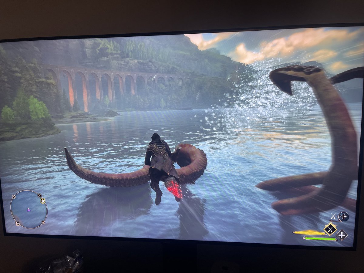 JaneTheyCallMe's tweet photo. My son (Null1780) found an Easter egg flying over the lake near the school Hogwarts Legacy. #HogwartsLegacy #giantsquid https://t.co/jZYNYhZdOD
