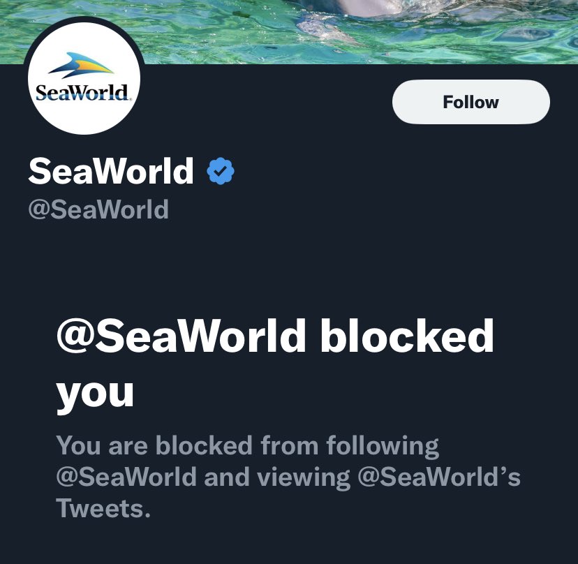 thepamsullivan's tweet photo. So wanted to see what @SeaWorld’s been up to lately, as kind of quiet in the post-#Blackfish #BlackfishEffect hype era. Then was reminded I’m blocked—had forgotten!😆Ahh…fun times😉 But TRUTH hasn’t changed🐬🐳🐋#EmptyTheTanks #CaptivityKills #orcas #dolphins #whales #Superpod8 https://t.co/Zu4kI1unLm