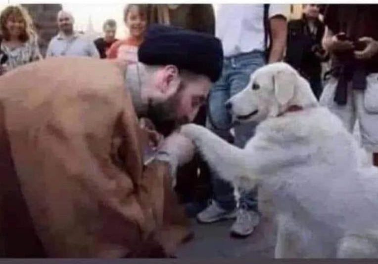 indian_soldier's tweet photo. This furry girl saved the lives of three humans in Turkey &amp; is being thanked by one of them. 
These speechless souls are God's gift to humans! 
💐💐💐
#WAPic https://t.co/f2IKAiS2ZS