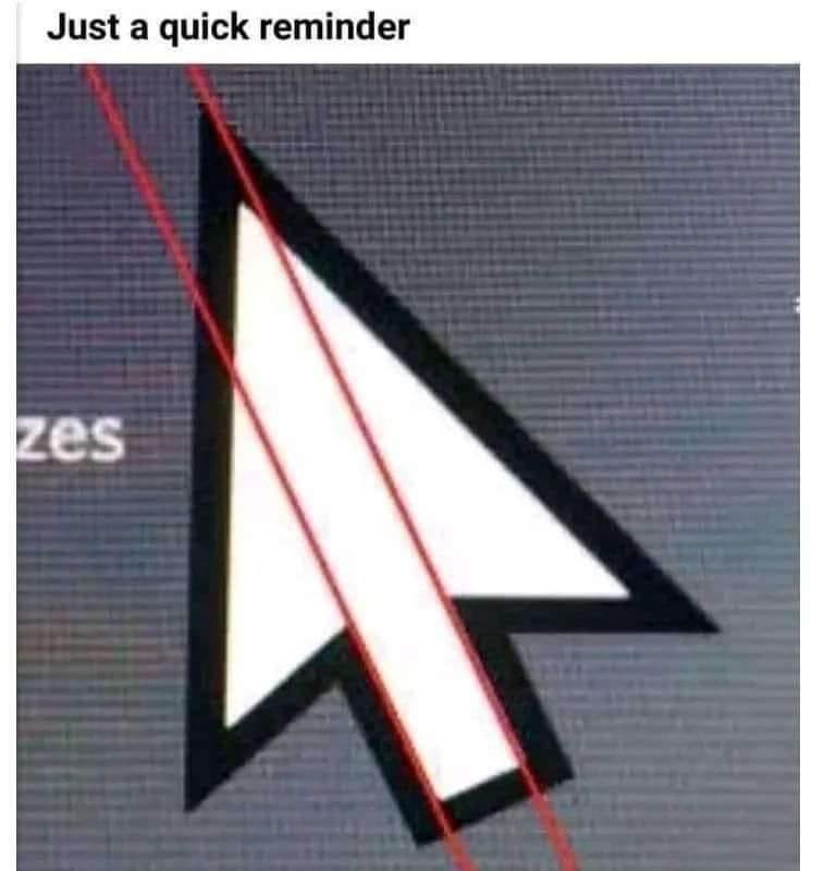 Katelyn Bowden Ⓥ tweet media