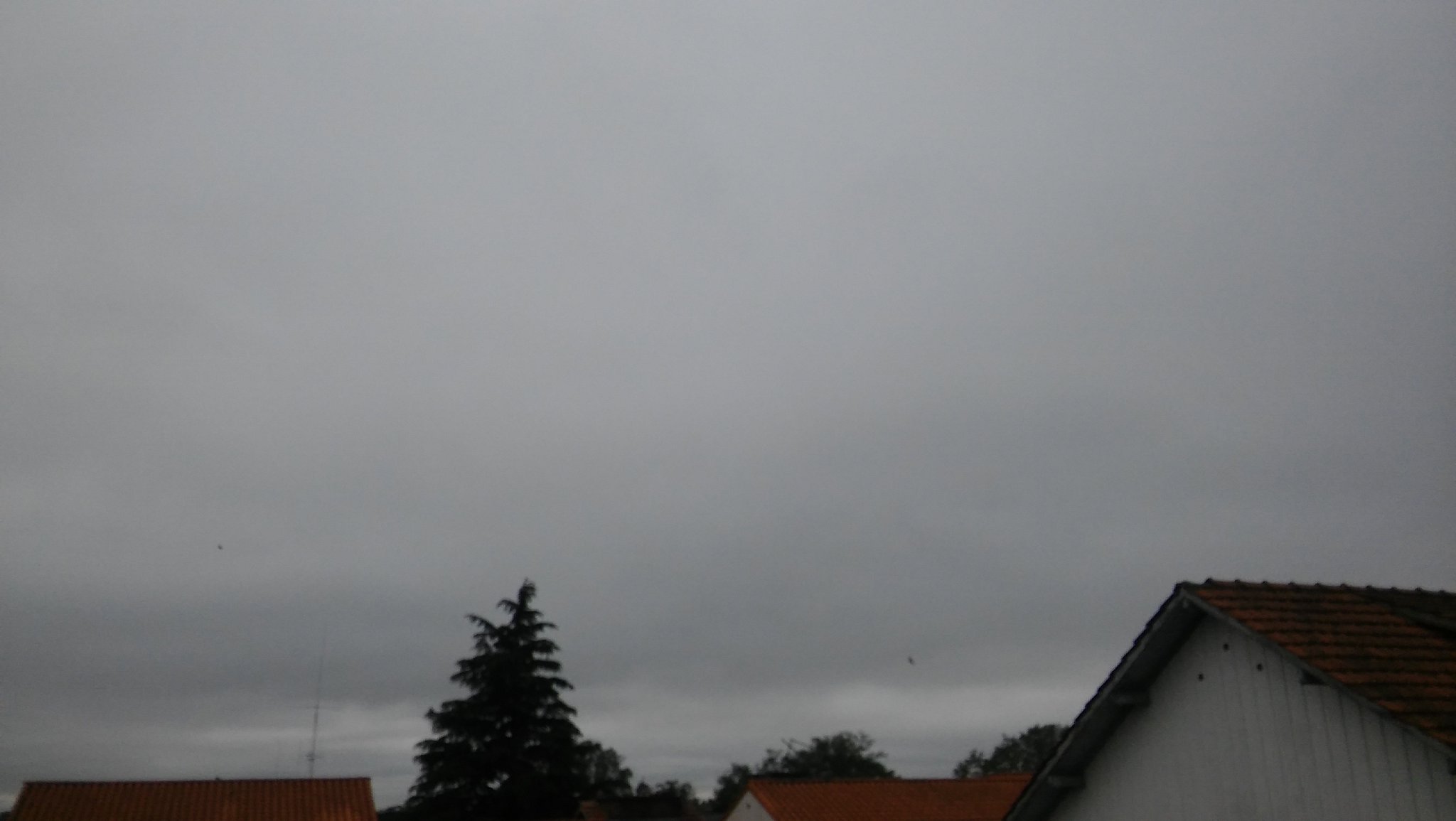 1. Stratus Nebulosus

Low-lying clouds which are flat, hazy, and formless. They may produce light dr
