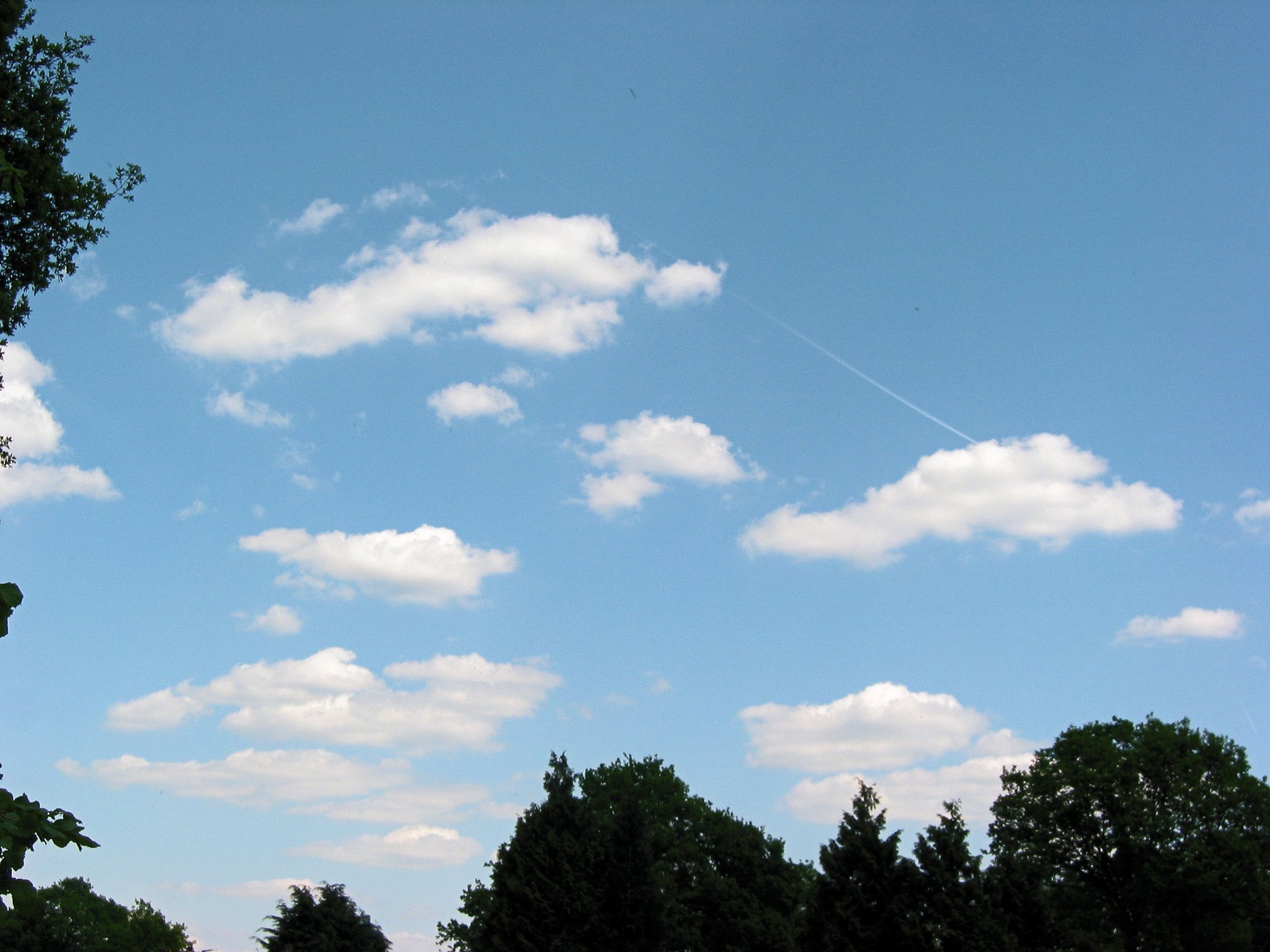 3. Cumulus Humilis

The next stage. Their appearance is fairly flat and shallow, but they are more c