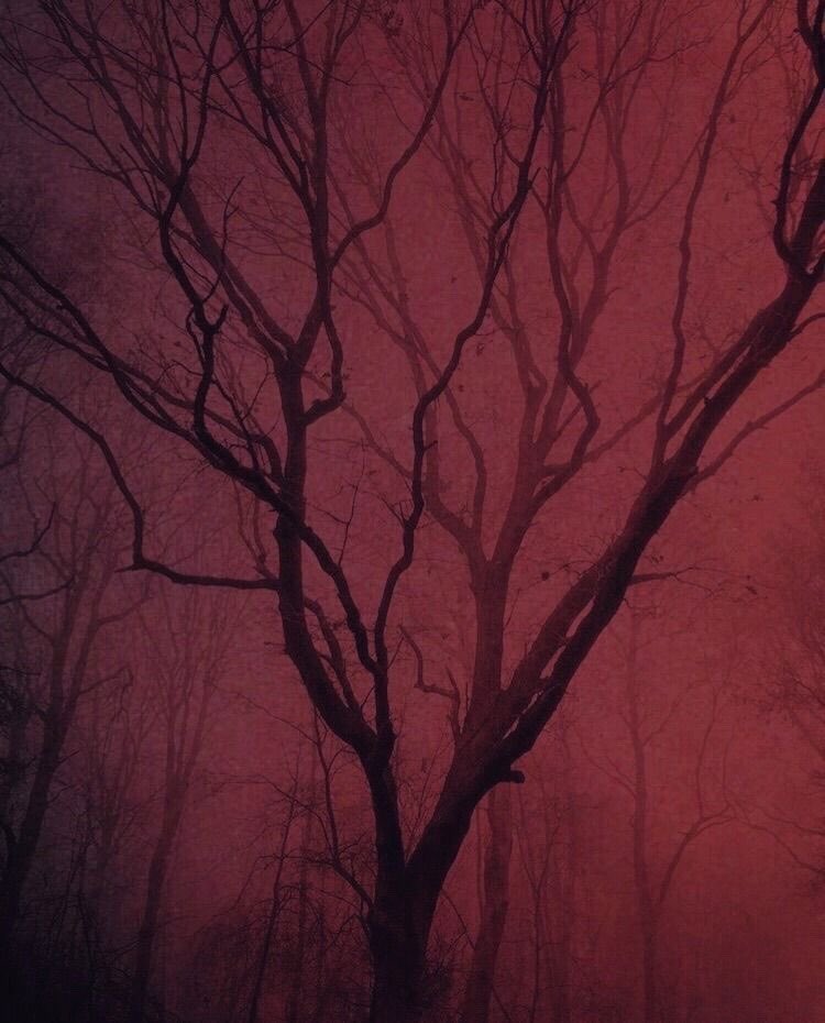 H_NGM_N (@tgwescott) on Twitter photo 