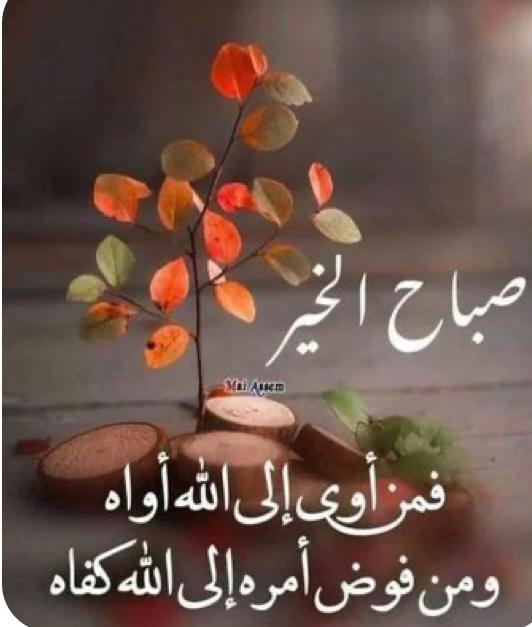 أبو محمد العدني (@fuqmg2gsj0lnvcs) on Twitter photo 