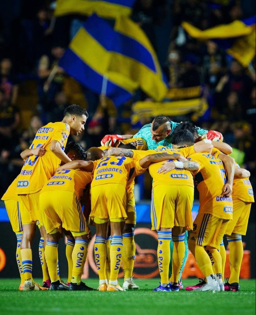 samircaetano's tweet photo. Vamos, @clubtigresoficial! 💪🏾
Excelente resultado da equipe fora de casa. Seguimos invictos e evoluindo na competição. Parabéns a todo o grupo! 👊🏾

¡Vamos, @clubtigresoficial! 💛
Excelente resultado fuera de casa del equipo. Seguimos invictos y evolucionando en la competición.🐯 https://t.co/64OKWQu4f1