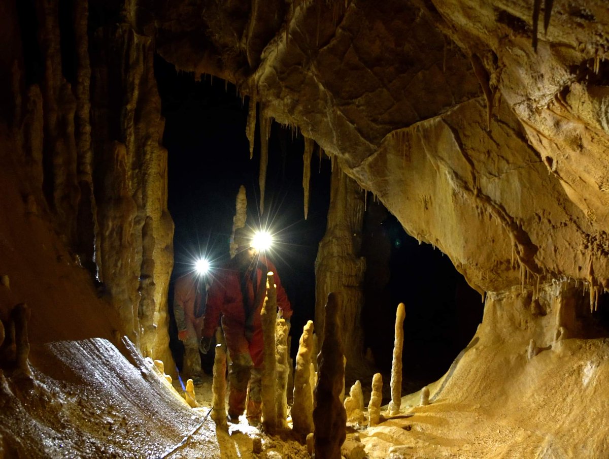 bluefrog_film's tweet photo. #cave #caves #caving #caveconservation #speleology #karst https://t.co/VyNzs3aqU5