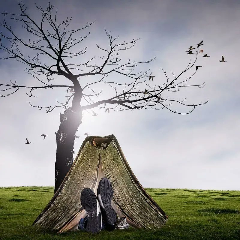 Novelicious tweet media