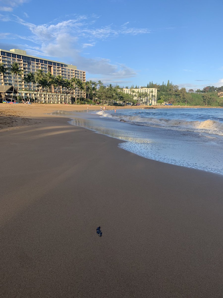 PhishinOnKauai's tweet image. Nice bike ride to my local beach and lighthouse. Still lonely but at least I found so@e beauty... 🙌
#KauaiLife #LivingTheDream #RadPowerBikes