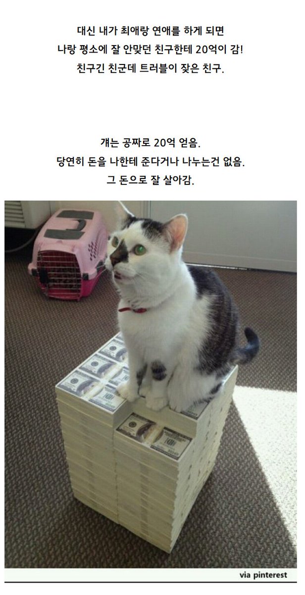 Ryu_Ja_hee's tweet photo. ? 사진이 뭐죠 
일단 라이토가 님 죽일걸요? https://t.co/m5xnNXPtnV