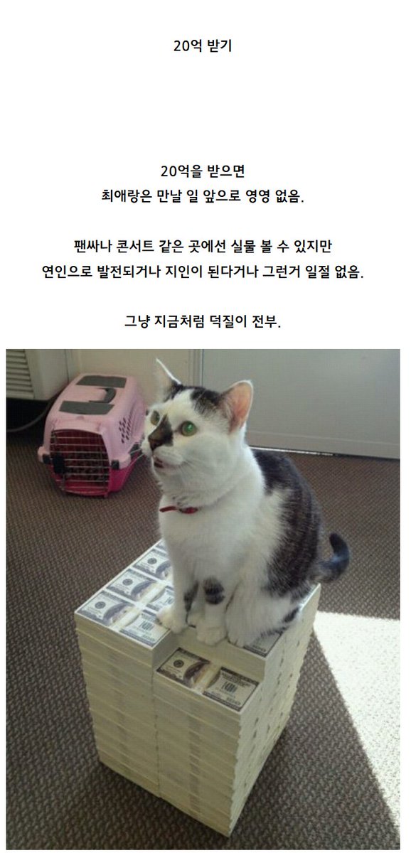 Ryu_Ja_hee's tweet photo. ? 사진이 뭐죠 
일단 라이토가 님 죽일걸요? https://t.co/m5xnNXPtnV