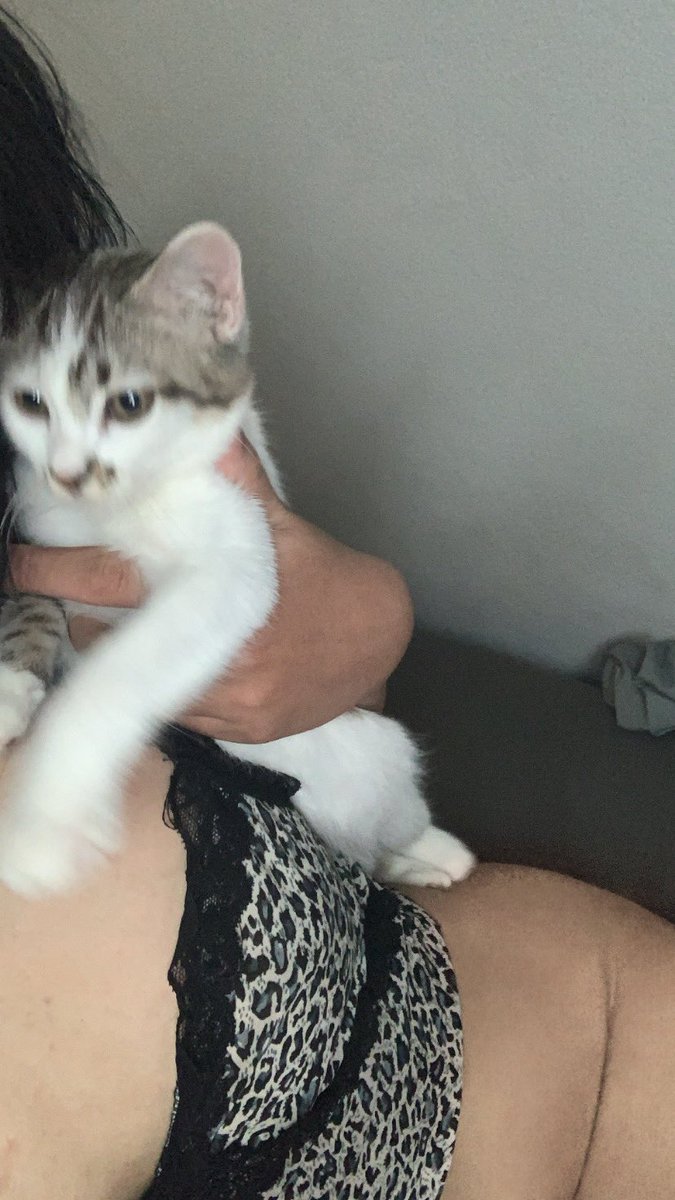 Urisang01's tweet photo. รูปแรกในทวิต🐱🐱 https://t.co/Sd8bzdBHjp