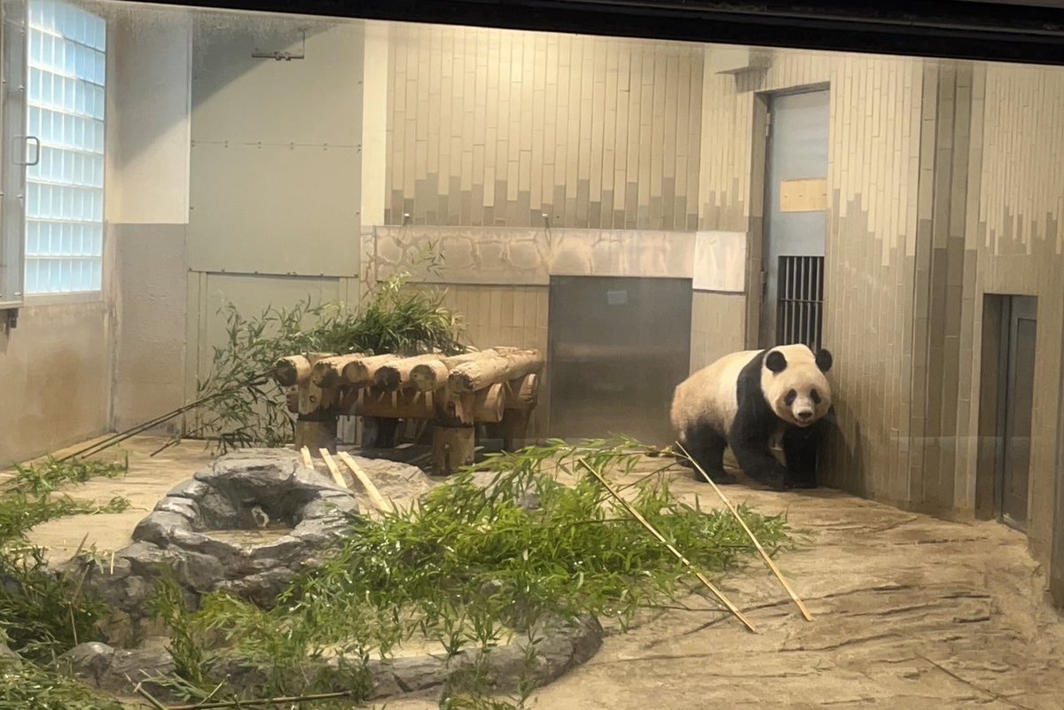 香香最終観覧日、ちゃんと視認できたの10秒くらい