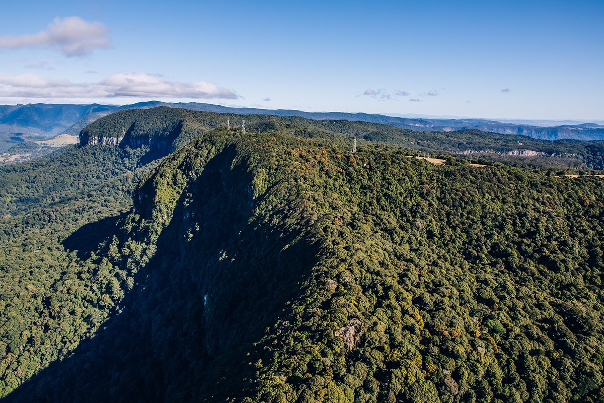 ManOnTheBikeVi1's tweet photo. BEST OF ALL LOOKOUT!
As the name suggests, #lookouts don’t get better
than this anywhere in #Australia. Take a short 600 metre return stroll through #ancient #Antarctic #beechforest to an opening where you’ll look right across northern #NewSouthWales, with
#stunningviews. https://t.co/Tc2iAxl6dH