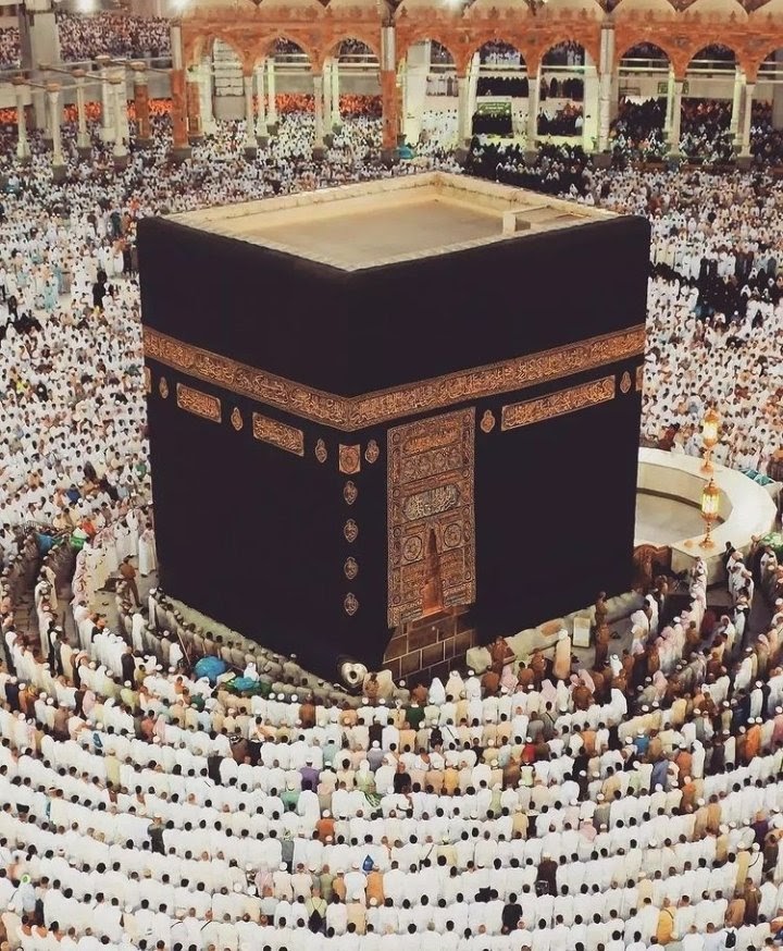 سُبحان الله .
- الحمدلله  .
- لا إله إلا الله .
- اللهُ أكبر .
- سُبحان الله و بحمدهِ .
- سُبحان الله العظيم .
- استغفر الله و أتوبُ إليهِ .
- لا حول و لا قوة إلا بالله .
- اللهُم صل على نبينا محمد .
- لا اله الا انتَ سبحانك 
اني كنت من الظالمينَ