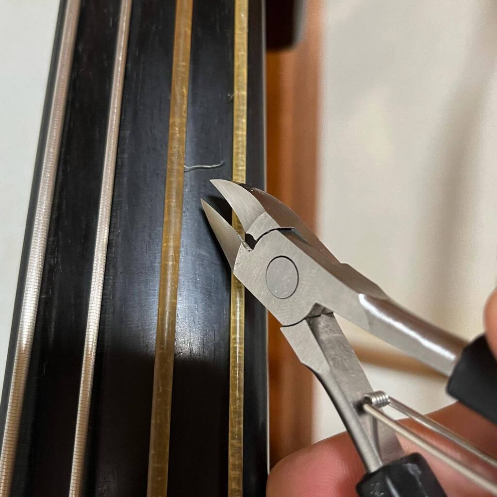 zuntyan's tweet photo. ガット弦から白い髭が生えてきたのでお手入れ
#chorda 
#gutstrings 
#doublebass ⠀
#contrabass ⠀
#ウッドベース ⠀
#コントラバス https://t.co/rHqhKw8Aas
